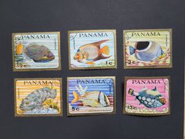 Panama  -  Satz Tropenfische
