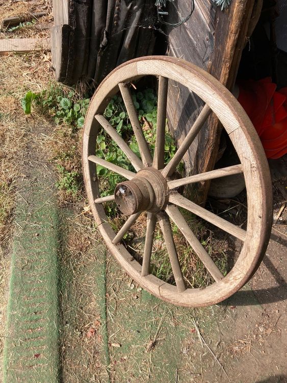Rochet (roue à Cliquet) Zenith R11 Pour Pendule Ancienne - Pièce