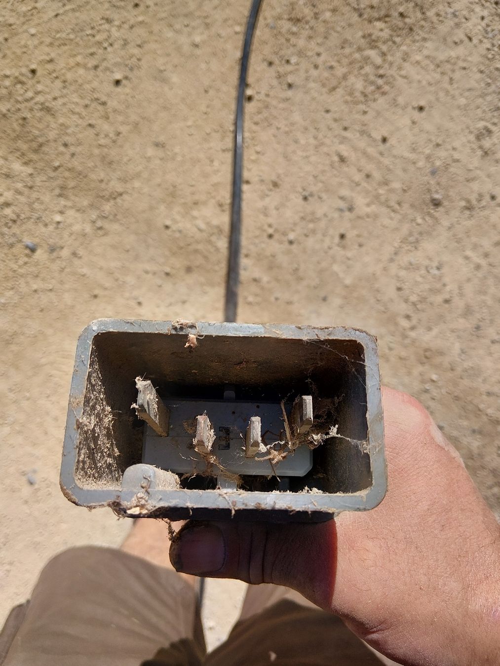 Cavi: stecker mit kabel 380 v – Usato da Bretzwil venduto da Houly-Mouly 1