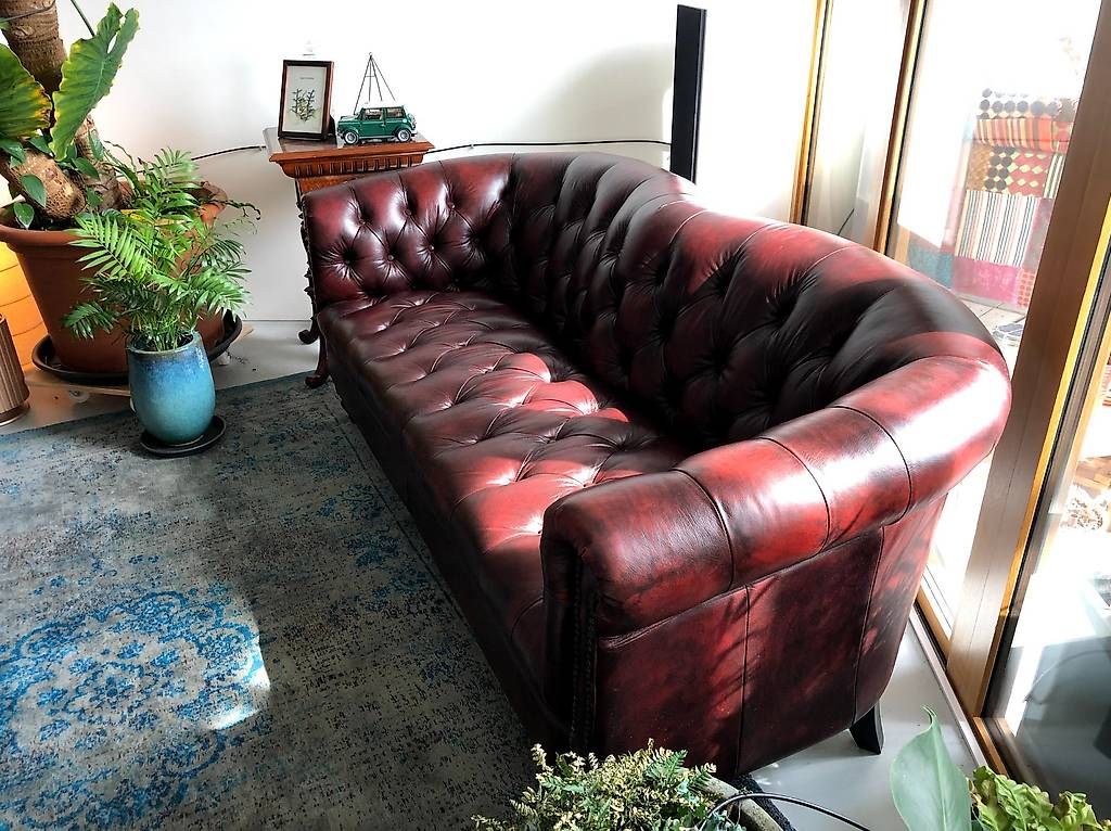 Divani: Chesterfield Couch Sofa Echtleder Massiv – Usato da Neuhausen am Rheinfall venduto da Longcat 1
