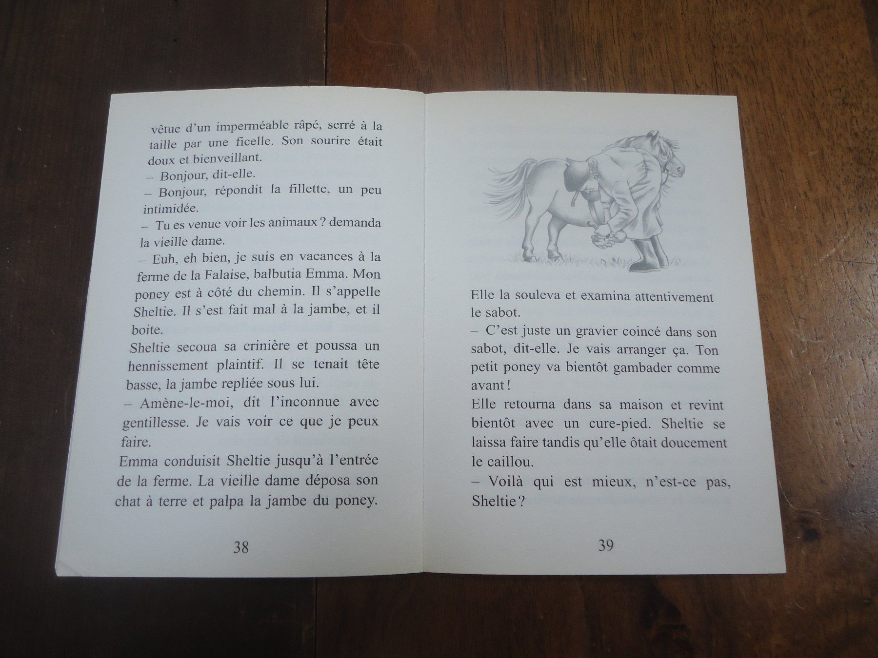Bücher: Sheltie à la rescousse – Gebraucht aus Vessy von mafabe 2