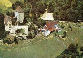 HERBLINGEN Schloss - Flugaufnahme Swissair Photo AG
