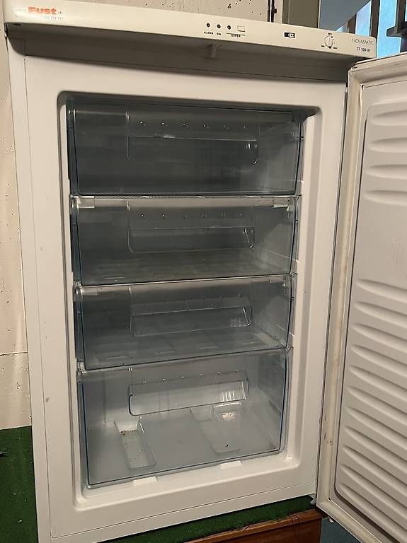Congelatori: Gefrierschrank – Usato da thun venduto da musefan61 2