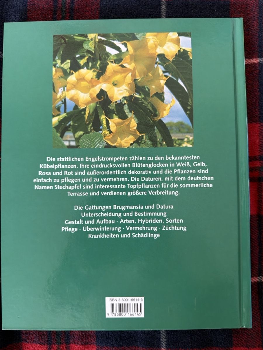 Libri: Bücher Set:Engels-trompeten: Brugmansia – Usato da Zürich venduto da d.reitzer 2