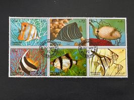 Sharjah Fische   1972 gest. (4363)