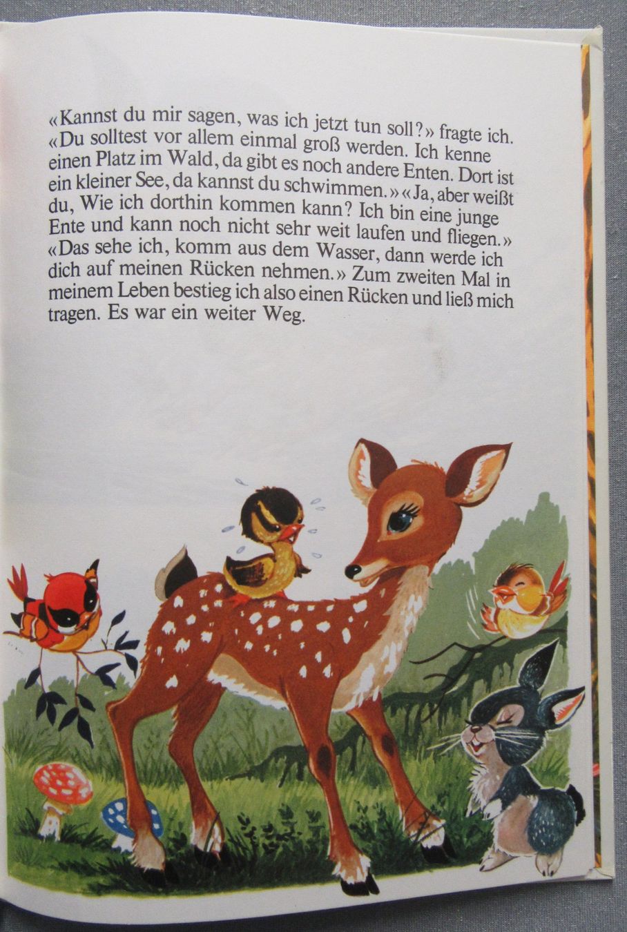 Bücher: Die Geschichte von... Entchen Goldfeder – Gebraucht aus Auenstein von Padabimbim 3