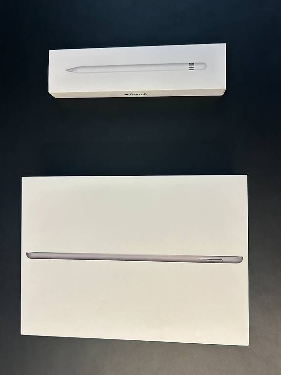 Tablet PC: iPad 6th Generation, 128 GB, inkl. Pencil – Usato da Thalheim an der Thur venduto da Iselisberger