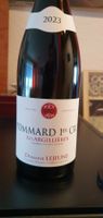 LEJEUNE POMMARD 2023 1er Cru LES ARGILLIERES
