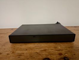 NAIM FLATCAP Olive