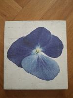 Wandbild mit Hortensie, quadratisch mit Gips-Oberfläche
