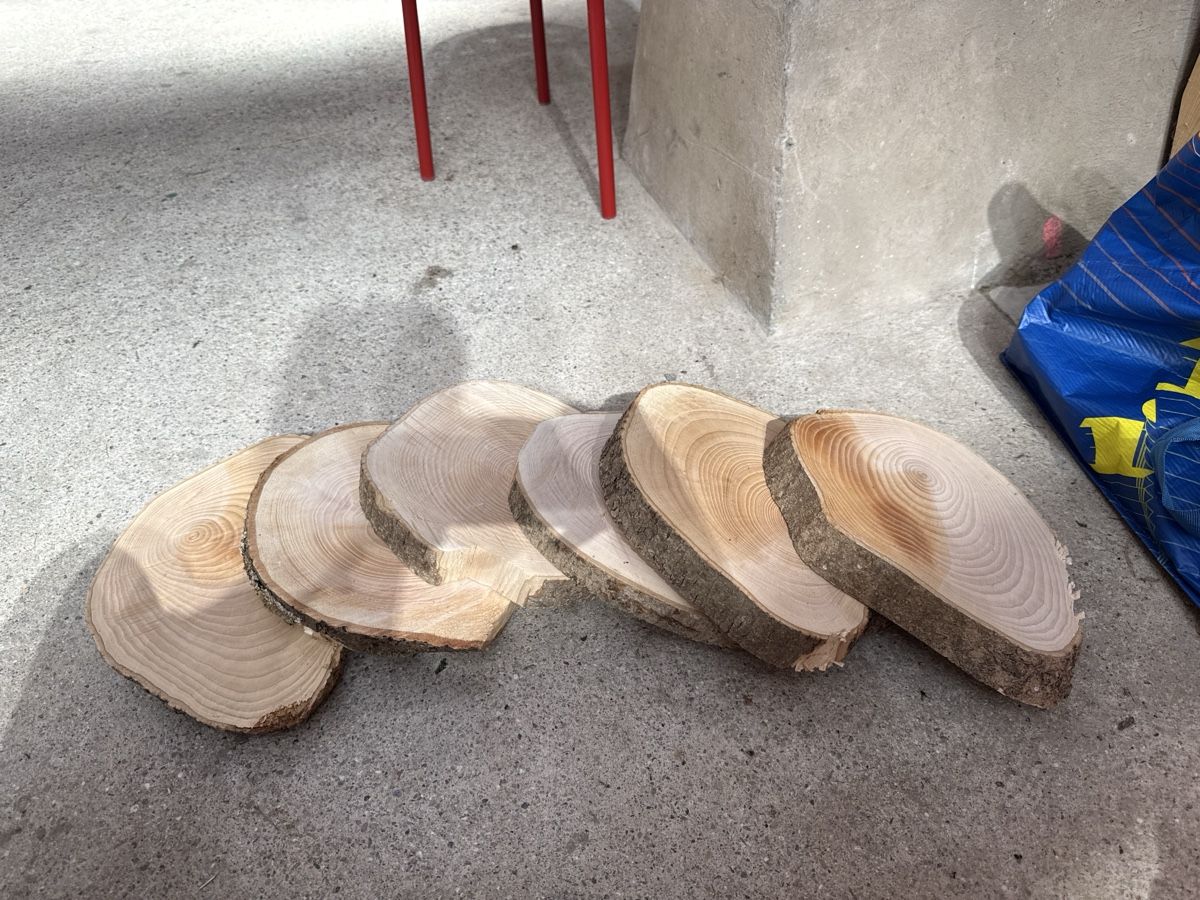 Articles en bois: Holzscheiben Untersetzer 6 Stk.  – D'occasion à Alten par Malibu97