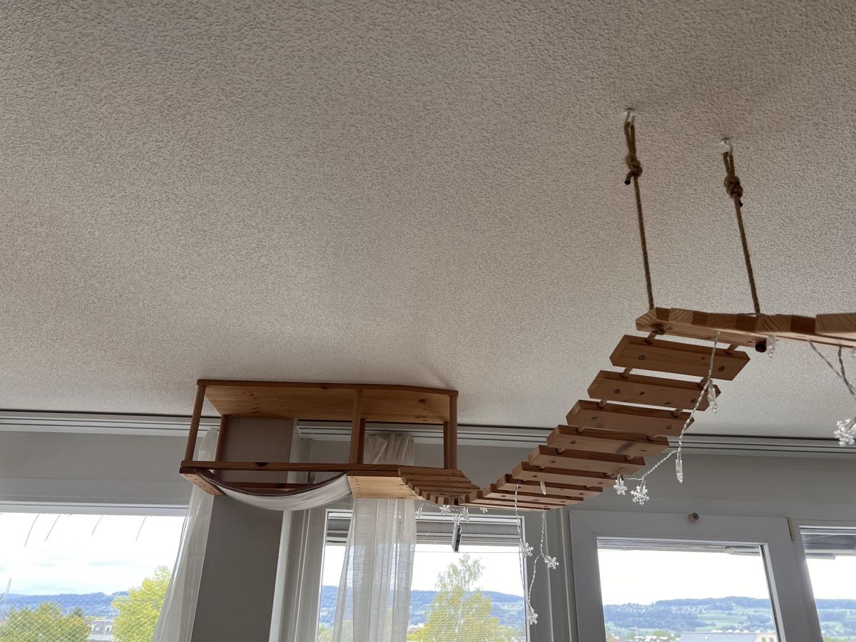 Pareti & prese d'arrampicata: Kletterwand Katzen – Usato da Uster venduto da NElsner 3