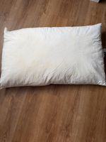 Kopfkissen reine Enten-Daunen, 65x100 cm, weiss