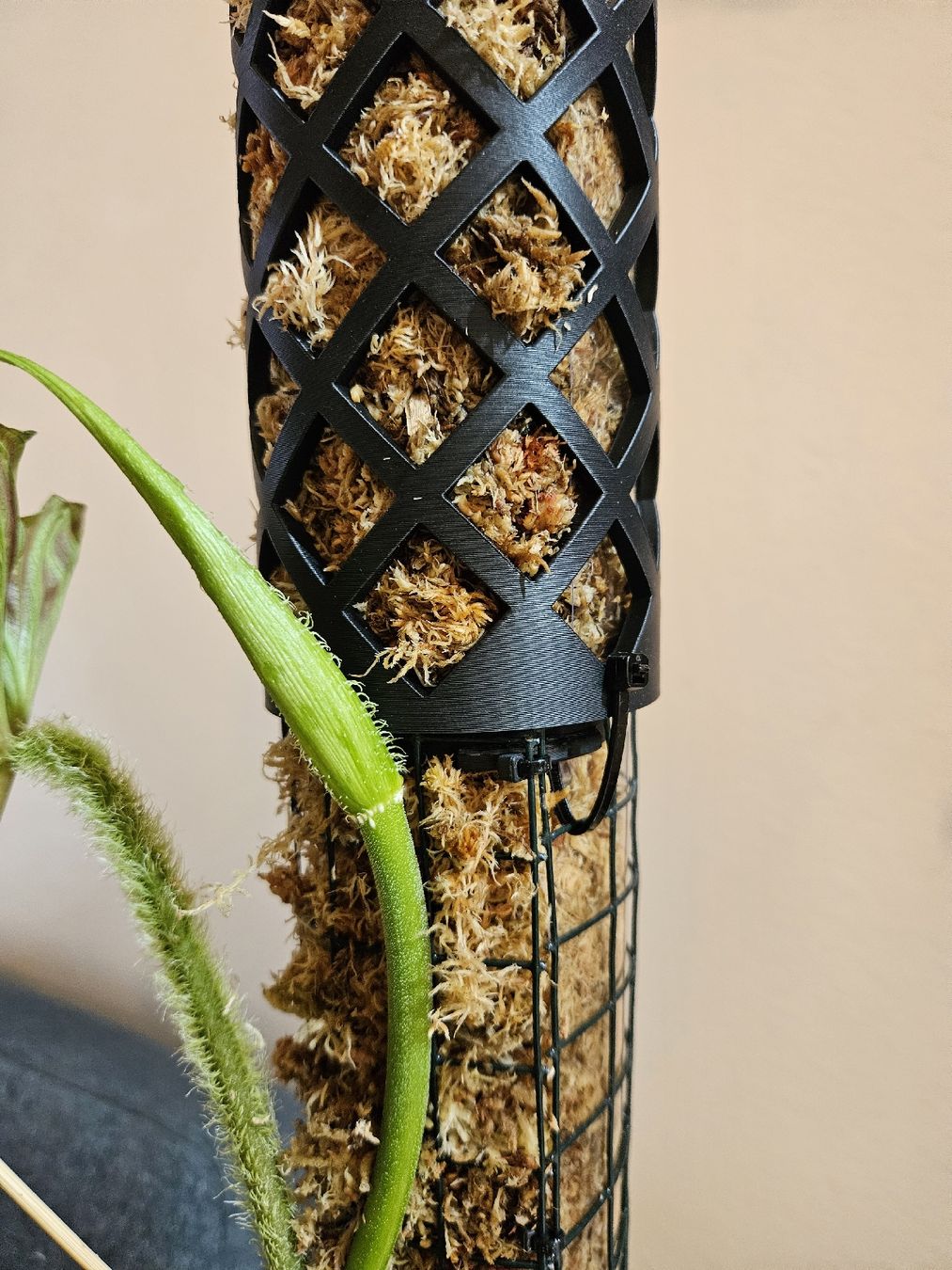 Plantes & graines: Mosspole/Moosstab – Neuf avec emballage d'origine à Riehen par Mats_ 2