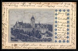 Seiden-AK Zürich, Blick auf das Landesm