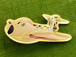 Flugzeug ✈️ ASA Pin