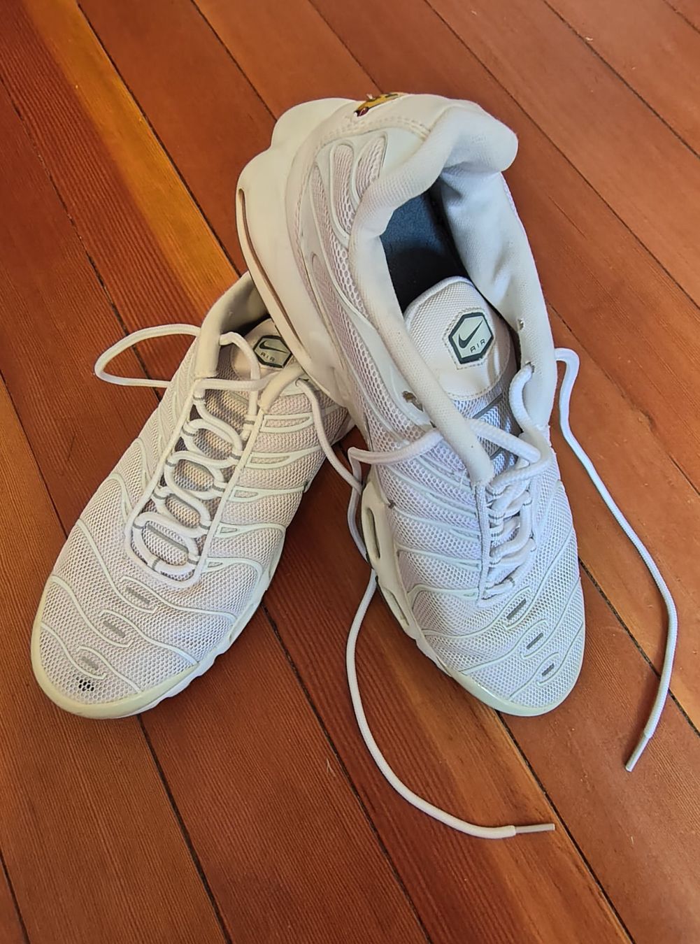 Nike Scarpe da uomo: Nike TN weiss Gr. 45 – Usato da Bern venduto da VolumeOne