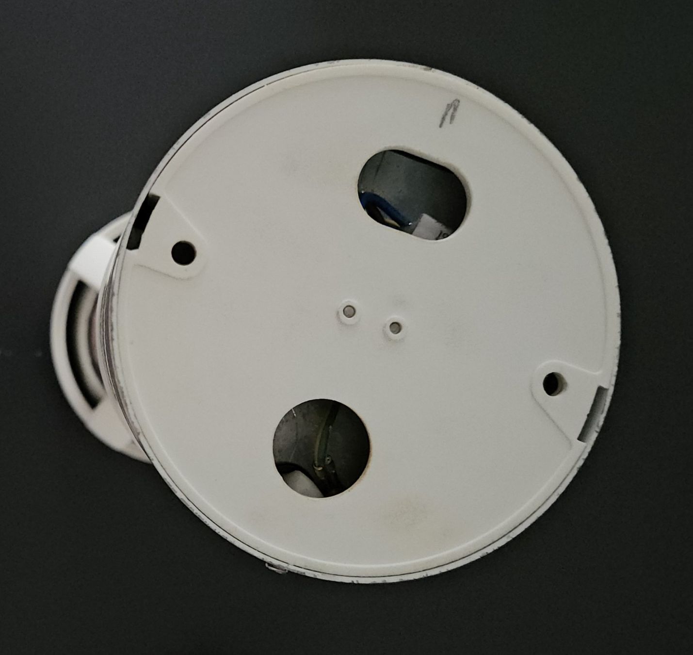 Osram Lampen: OSRAM Pflanzenleuchte (76210) – Gebraucht aus Weinfelden von heibo02 2