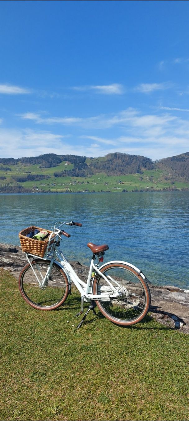 Gazelle Biciclette: Holland Damen Velo – Usato da Ruswil venduto da wyma02 1
