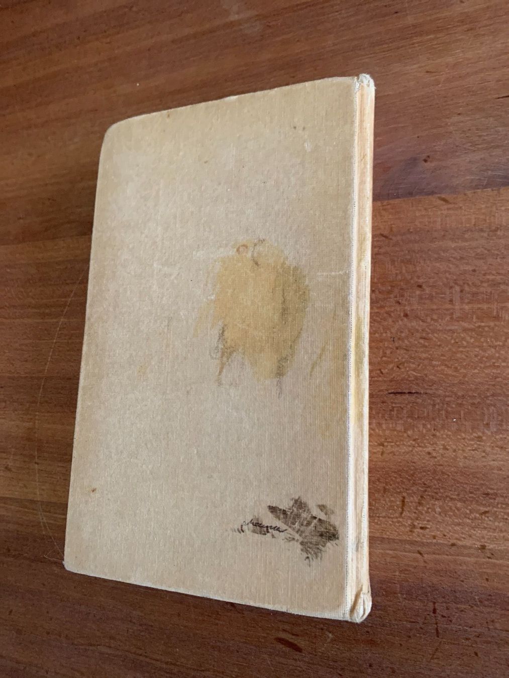 Libri: Karl May Buch antik – Usato da Udligenswil venduto da Trisha70 2