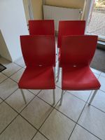 4 Stühle, Pedrali, Modell Ice, Rot, Design Archirivolto.