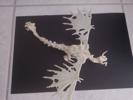 Weisser Drache