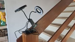Pflanzenlicht