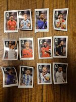 Alle 12 Coca Cola Panini WM 2026 Sticker Set