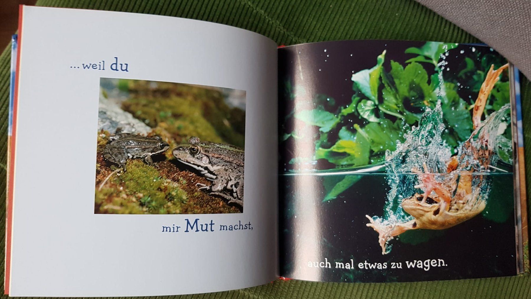 Libri: Oma - Du bist Klasse NEU – Nuovo (secondo la descrizione) da Spiegel b. Bern venduto da sus_xj97 5