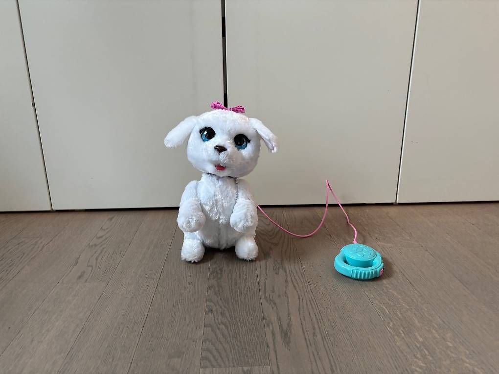 FurReal Giocattoli: FurReal GoGo - Tanzendes Hündchen – Usato da Zürich venduto da rem_8v6m