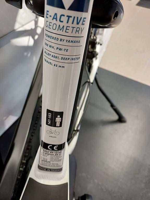 Wheeler Biciclette: Wheeler i-VISION DI C – Usato da Matten(St.Stephan) venduto da Tj_Inside 2