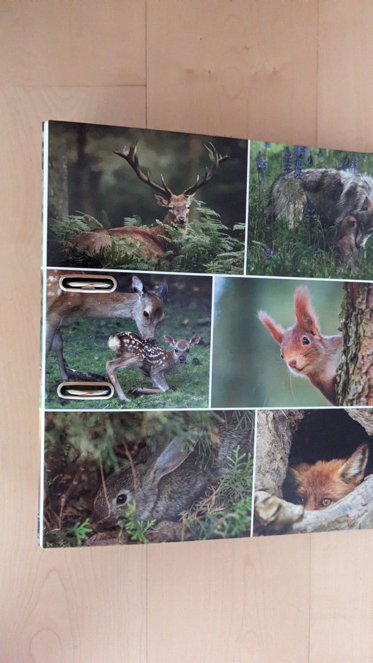 Ordner: A4 Odner – Neu und originalverpackt aus Wettingen von Nini54
