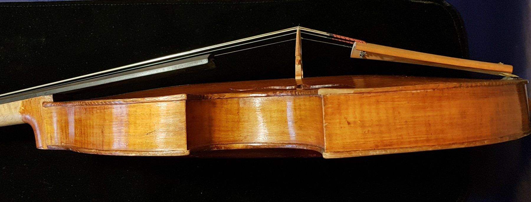 Strumenti musicali: Viola, alte Gambenform, 5-saitig – Usato da Berneck venduto da 2vulkan55 5