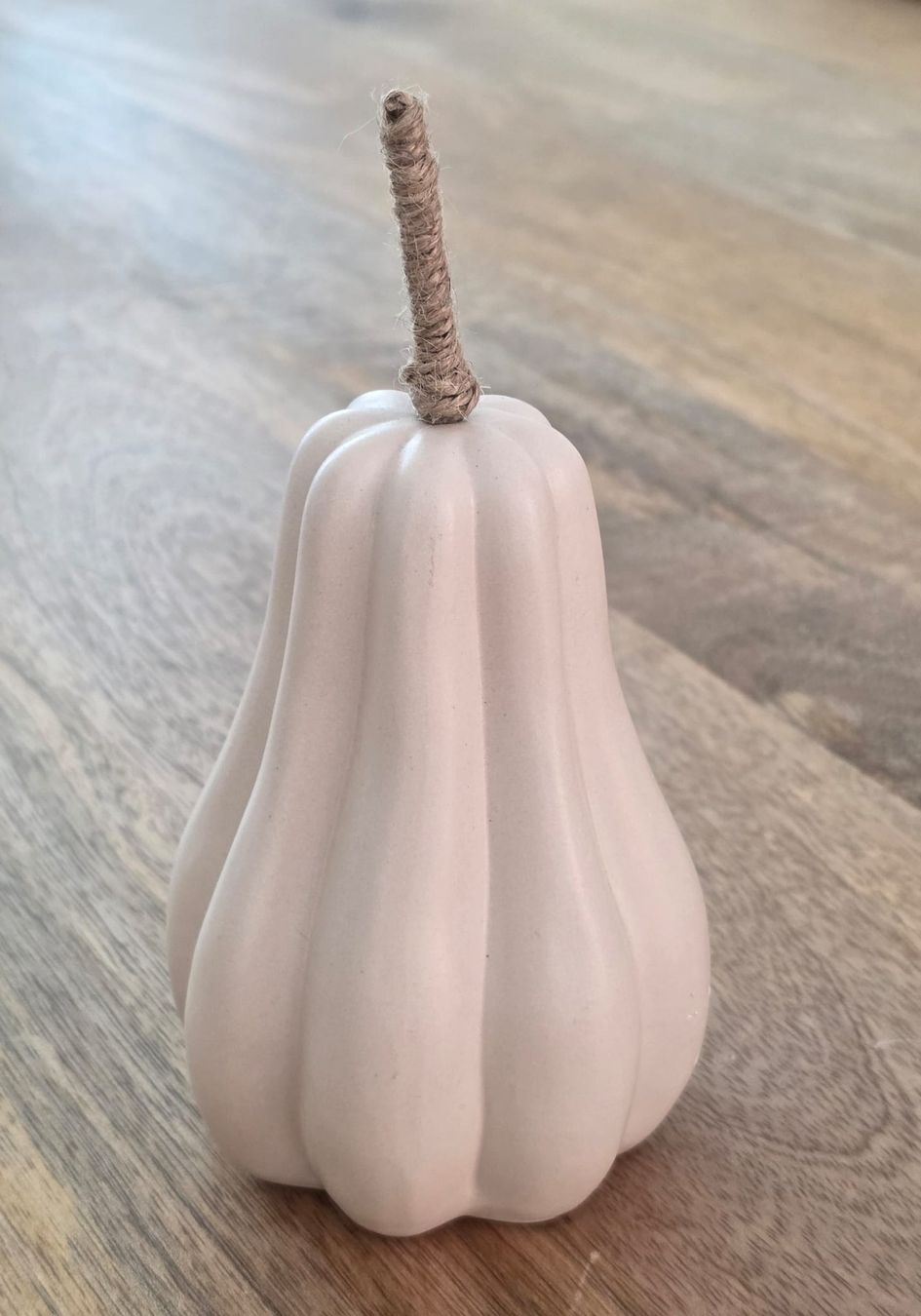 Tutte le decorazioni: Deko Kuerbis weiss  – Usato da Rheinsulz venduto da Dred 4