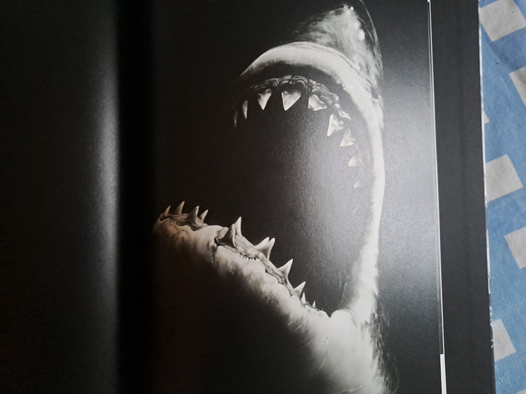 Bücher: BOOK ROBERT LONGO ARTISTE – Gebraucht aus LAUSANNE von KWEW 4