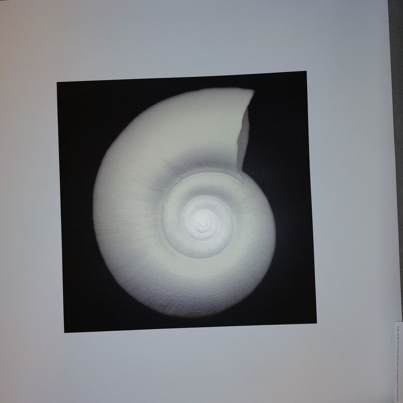 Foto & Immagini: 3 Bilder – Usato da Bellikon venduto da Anithom 1