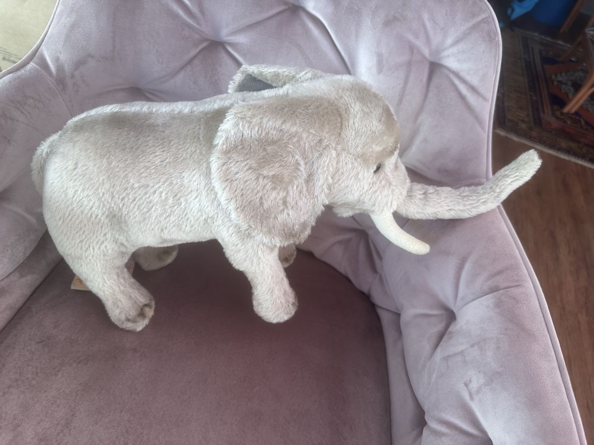 Steiff Giocattoli: Steiff Elefant Eli – Nuovo (secondo la descrizione) da Herbriggen venduto da Sehrazade 7