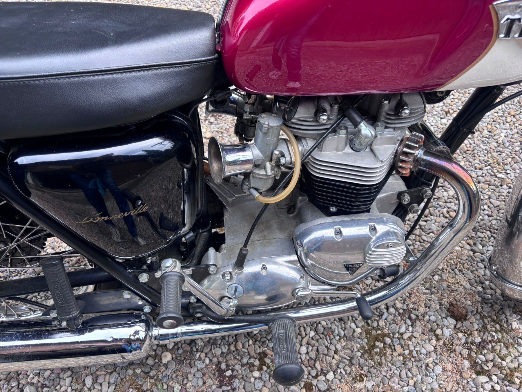 Triumph Strada: Triumph T120 Bonneville – Usato da Basel venduto da SeMobil 4