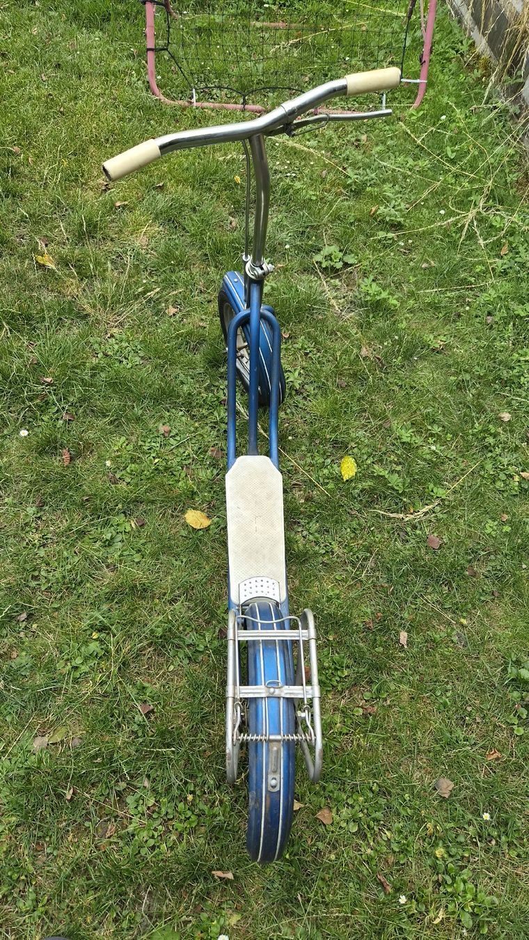 Kickboard: Trotti Alt Champion Antik – Usato da Sirnach venduto da Marphil 5