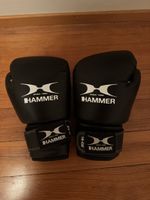 Hamme Boxhandschuhe 10-OZ