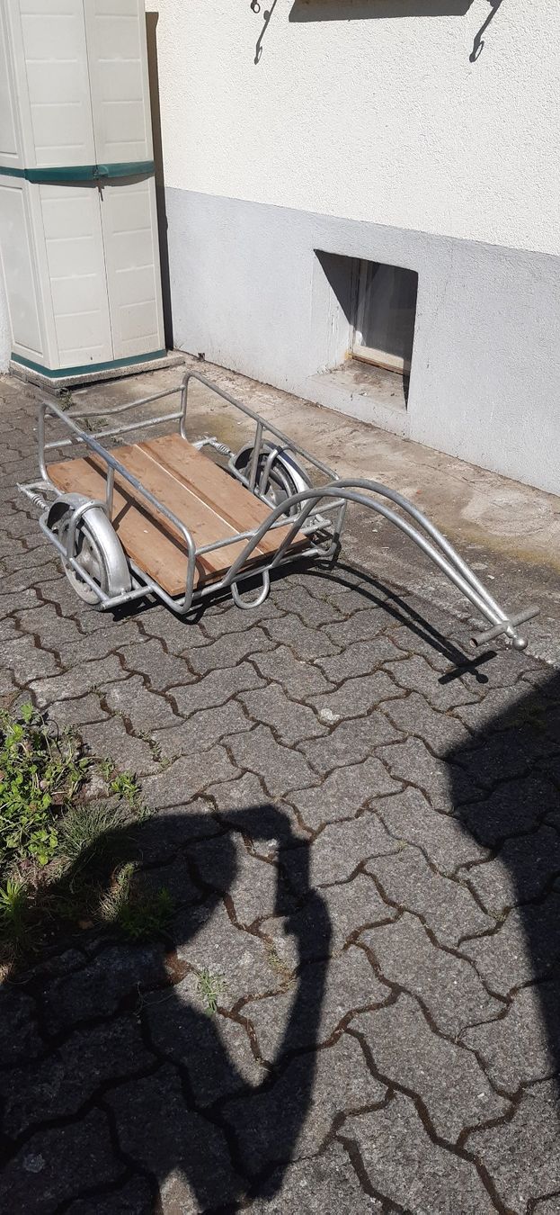 Rimorchi: Veloanhänger – Usato da Seengen venduto da zwirrli2 1