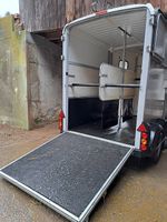 Ifor Williams HB506 Remorque à chevaux / Pferdeanhänger