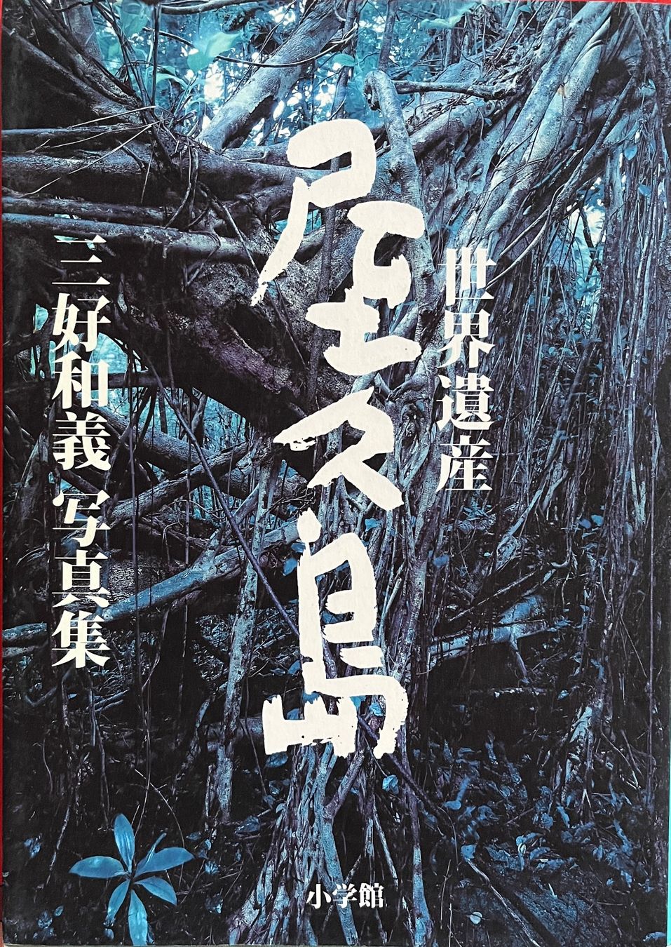 Libri: Recueil photographique de Yakushima/Japon – Usato da Renan BE venduto da johncactus