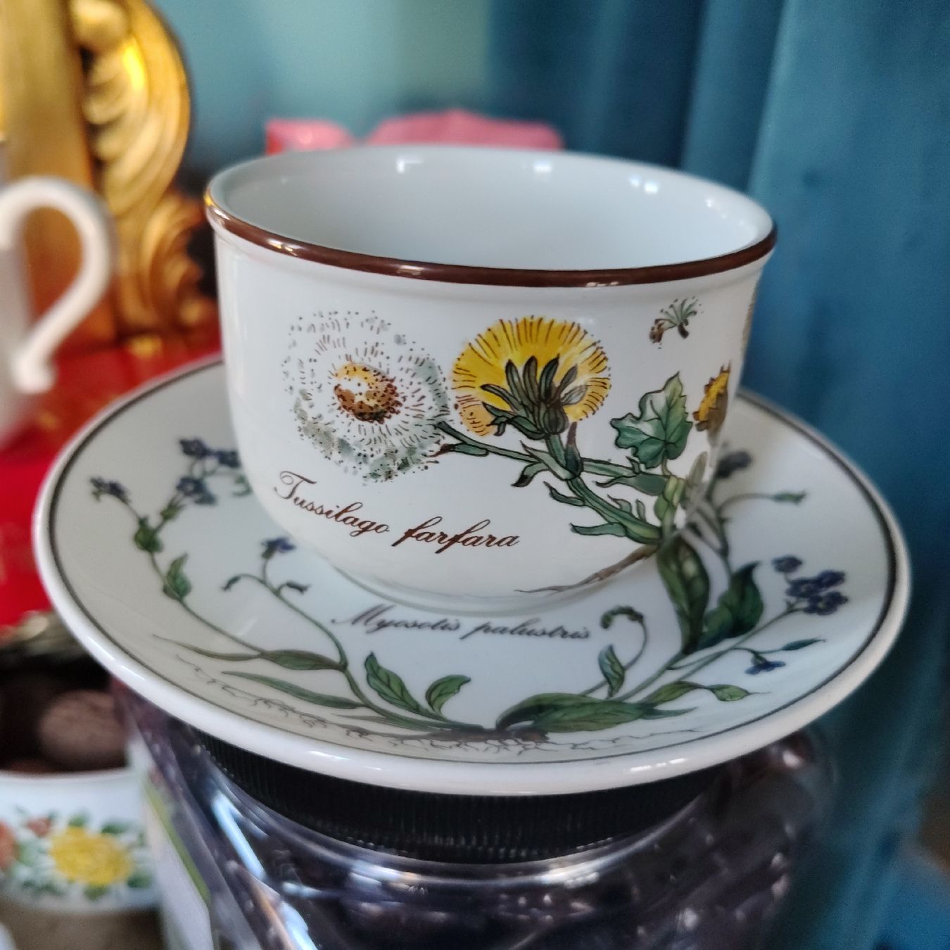 Villeroy & Boch Set di piatti: Villeroy & Boch Botanica tableware set zustand 9/10 – Usato da Dietikon venduto da aberdeen30 3