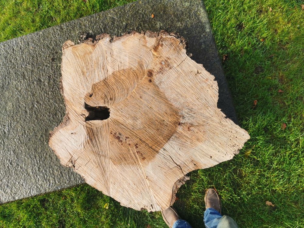 Nussbaum Scheibe (Gebraucht) in Hombrechtikon für CHF 15 – nur Abholung ...