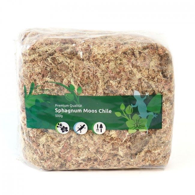 Plantes & graines: Sphagnum Moos getrocknet 500g – D'occasion à Spreitenbach par GreenThumb