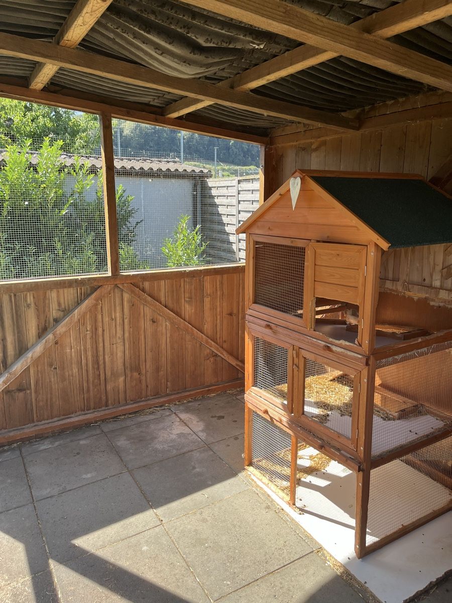 Cages, transport & sécurité: Kleintierstall – D'occasion à Wynigen par steve106 2