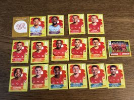 PANINI WM 2026 Bilder Schweiz SUI mit Xhaka Embolo usw.