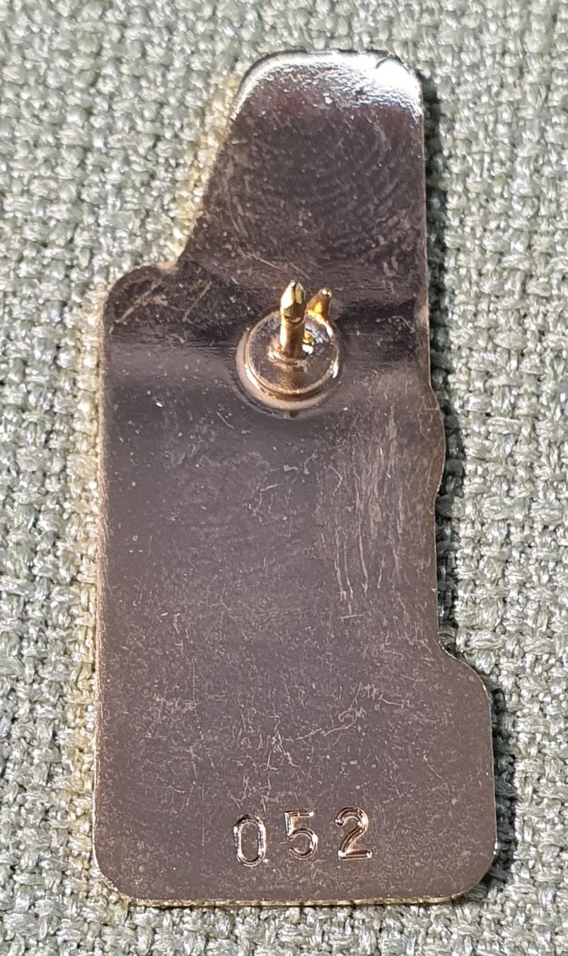 Plaketten & Abzeichen: O238 - Pin Bern Zähringerbrunnen – Gebraucht aus Reinach BL von Boston-Verkauf 1