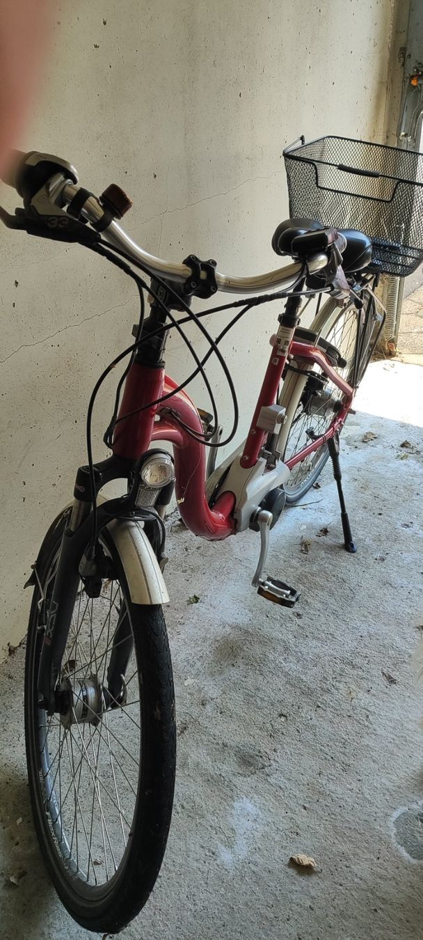 Flyer Biciclette: E-Bike Flyer C9 Deluxe – Usato da Baar venduto da Phunkeler 3